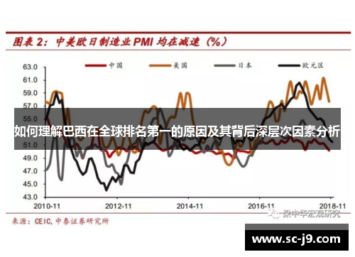 如何理解巴西在全球排名第一的原因及其背后深层次因素分析