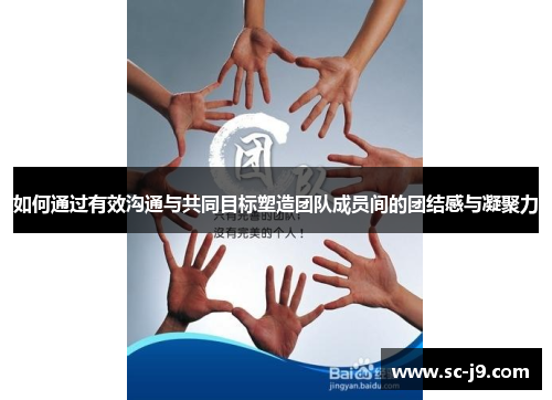 如何通过有效沟通与共同目标塑造团队成员间的团结感与凝聚力