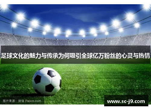 足球文化的魅力与传承为何吸引全球亿万粉丝的心灵与热情