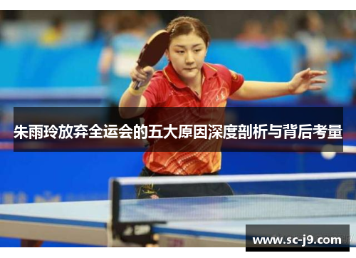 朱雨玲放弃全运会的五大原因深度剖析与背后考量