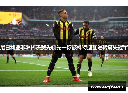 尼日利亚非洲杯决赛先领先一球被科特迪瓦逆转痛失冠军 尼日利亚非洲杯决赛先领先一球被科特迪瓦逆转痛失冠军