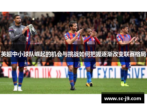 英超中小球队崛起的机会与挑战如何把握逐渐改变联赛格局