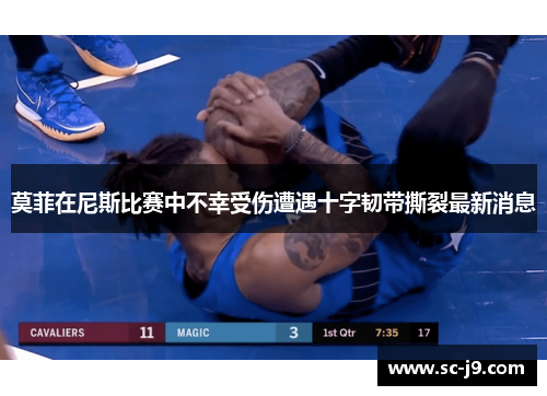 莫菲在尼斯比赛中不幸受伤遭遇十字韧带撕裂最新消息