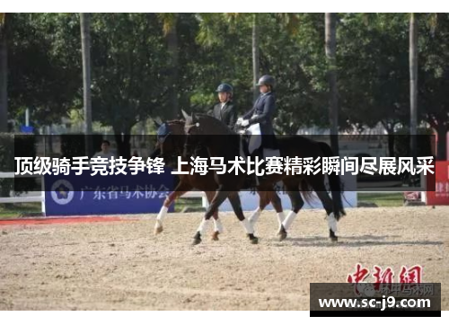 顶级骑手竞技争锋 上海马术比赛精彩瞬间尽展风采