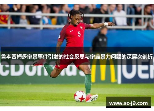 鲁本塞梅多家暴事件引发的社会反思与家庭暴力问题的深层次剖析