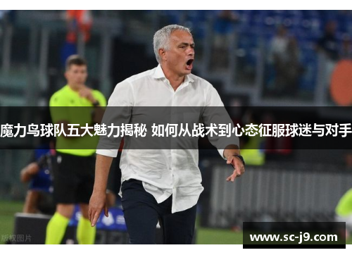 魔力鸟球队五大魅力揭秘 如何从战术到心态征服球迷与对手 魔力鸟球队五大魅力揭秘 如何从战术到心态征服球迷与对手