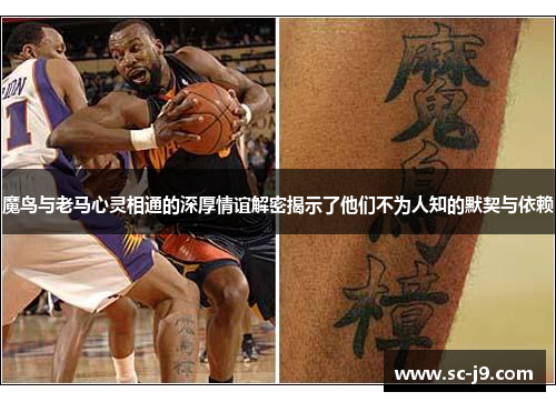 魔鸟与老马心灵相通的深厚情谊解密揭示了他们不为人知的默契与依赖 魔鸟与老马心灵相通的深厚情谊解密揭示了他们不为人知的默契与依赖